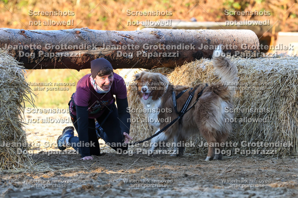 Dog Paparazzi - Strongdog 10-25-679 | Dog Paparazzi Jeanette Grottendiek Fotografie & Videografie - Realisiert mit Pictrs.com