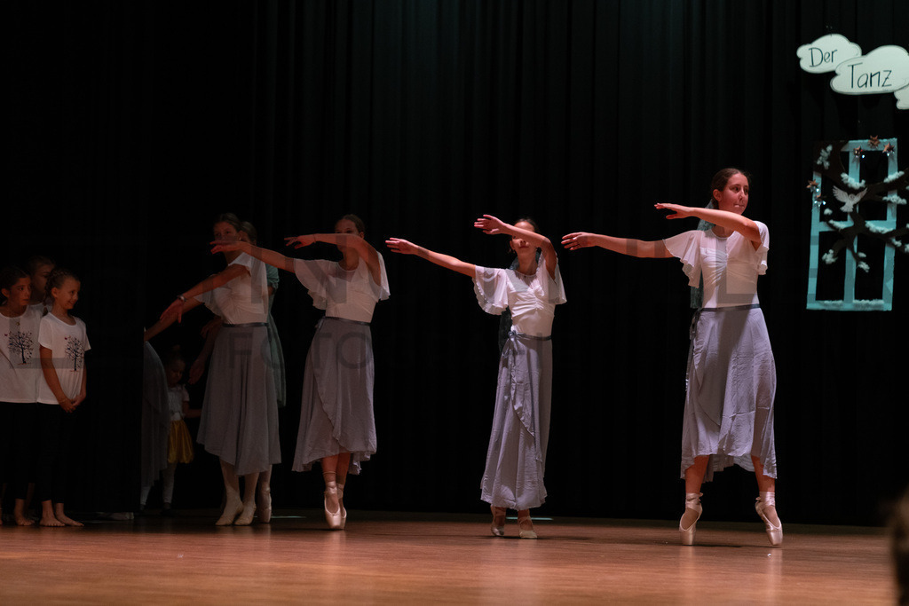 _DSC1642 | Tinu Müller Fotografie- Bildershop - Realisiert mit Pictrs.com