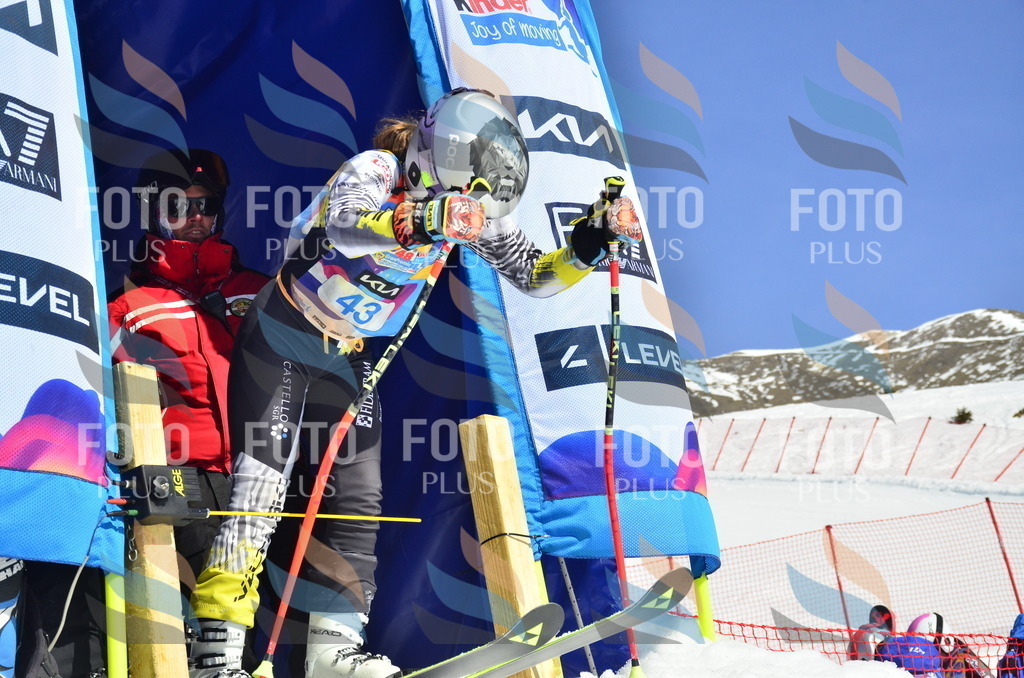 _ELE0072 | holidayphoto