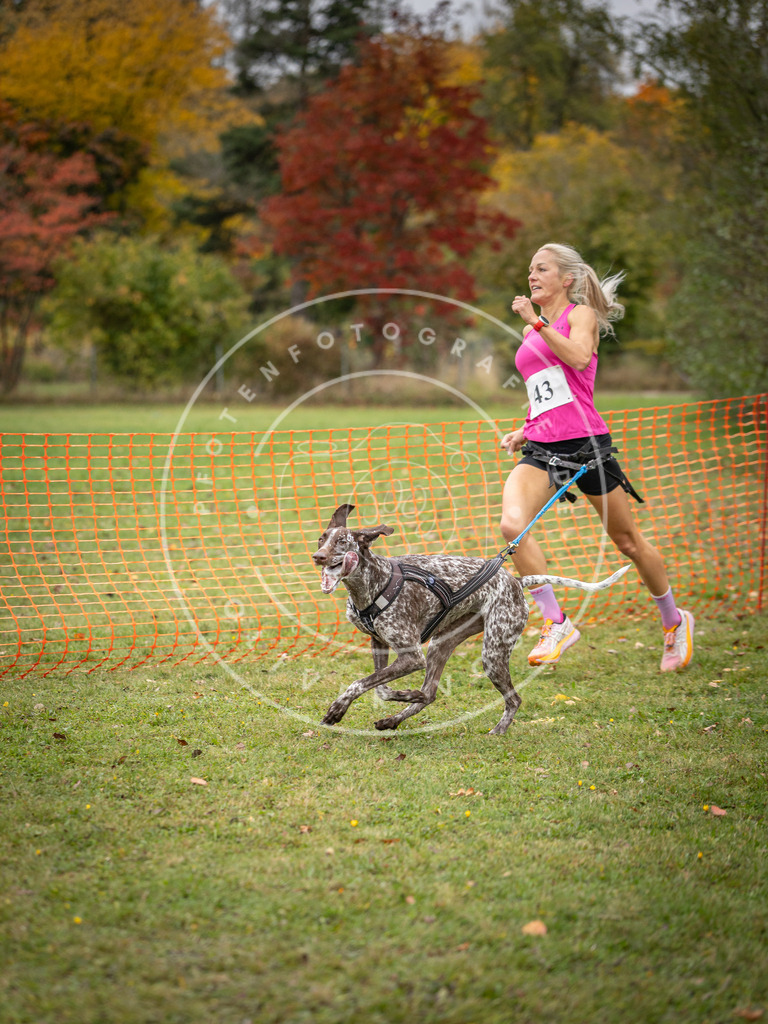 Pfotenfotografie_DV3A2362 | Hundefotografie, Tierfotograf, Pfotenfotografie, Fotoshooting Hund, Hunde Portrait, Hundesport, Hundeportraits, Heideshooting, Hunde, Sportfotograf, Hundefotograf, Turnierhundsport, THS,  - Realisiert mit Pictrs.com