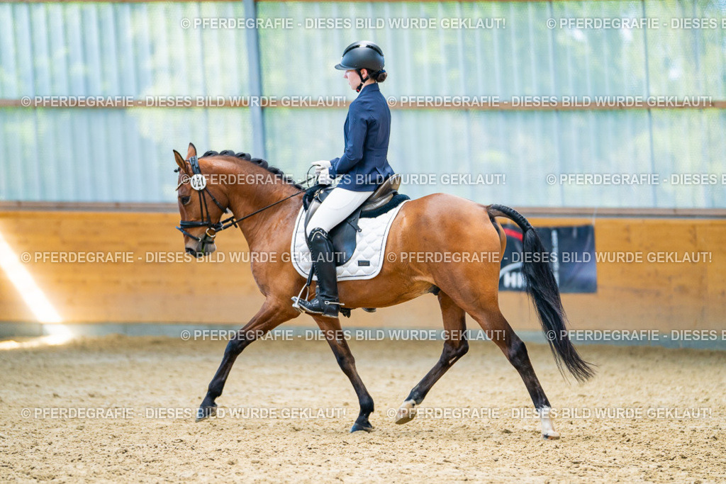 DSC08793 | Pferdegrafie