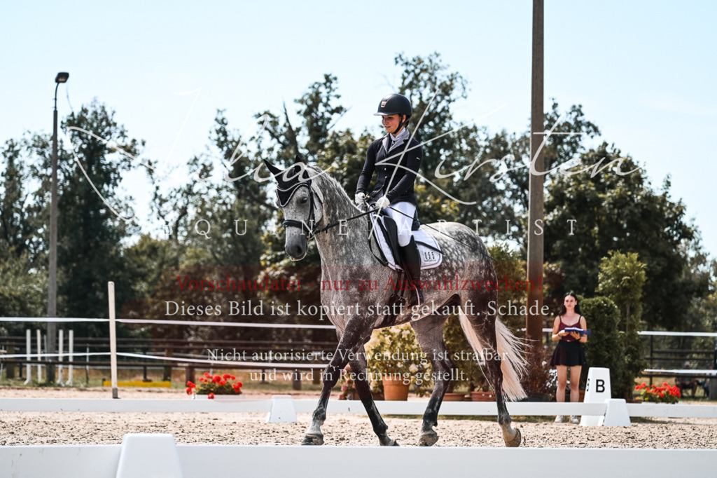 DSC_5617 | Pferde- und Turnierfotografie in Westsachsen. Pferdeportraits, Auftragszeichnungen und intuitive Kunst.
