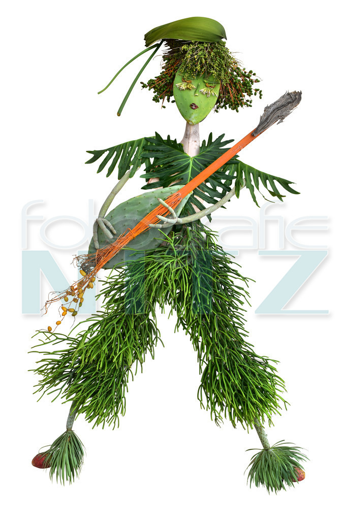 28 | Nitz Fotografie aus Montabaur bietet Ihnen hier die Möglichkeit Bilder auszusuchen und zu bestellen. 