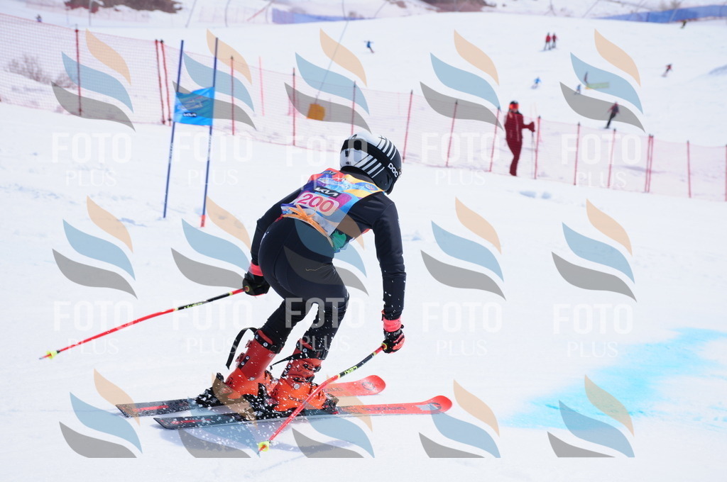 DSC_5758 | holidayphoto