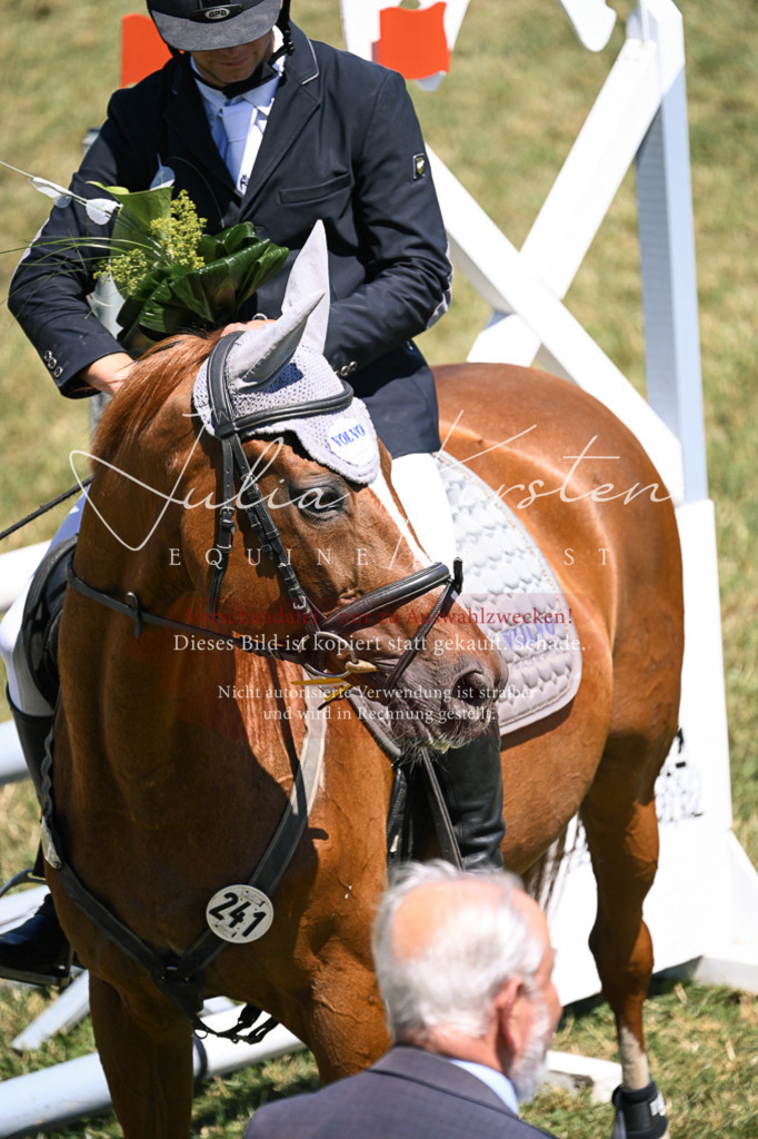 DSC_0050 | Pferde- und Turnierfotografie in Westsachsen. Pferdeportraits, Auftragszeichnungen und intuitive Kunst.