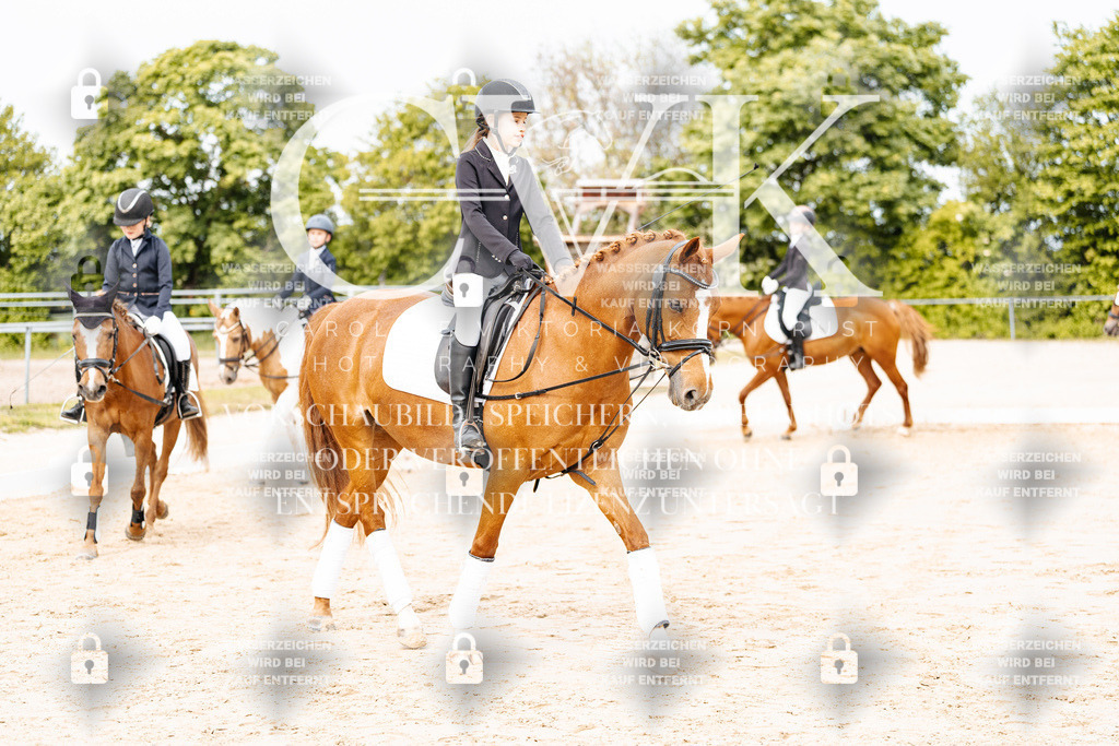 CK904510 | Turnierfotografie Pferdefotografie Trier Rheinland-Pfalz Pferdesport Reitsport Tierfotografie Sportfotografie Pferdevideo Pferdevideografie Equestrianvideography equestrianphotography  - Realisiert mit Pictrs.com