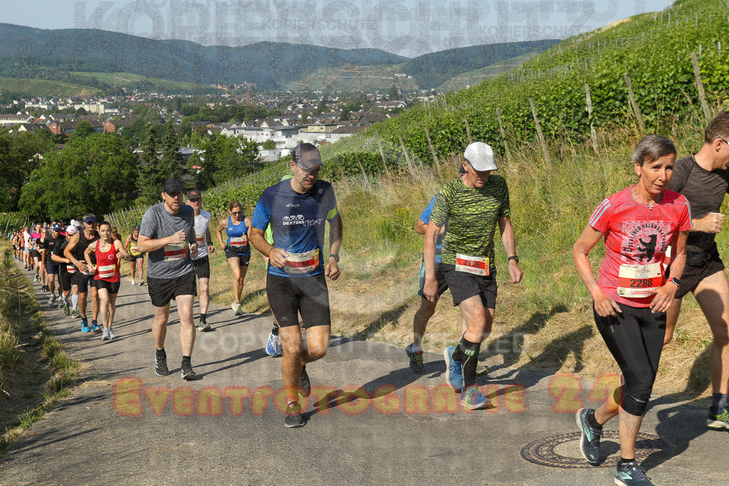 230617_0914_EV9_6247 | Sportfotografie im Rhein-Sieg Kreis, Köln, Bonn, NRW, Rheinland Pfalz, Hessen, etc. Unser Tätigkeitsfeld umfasst den Laufsport vom Volkslauf über den Marathon, Duathlon, Triathon bis zum Ultralauf wie Kölnpfad Ultra oder Schindertrail.