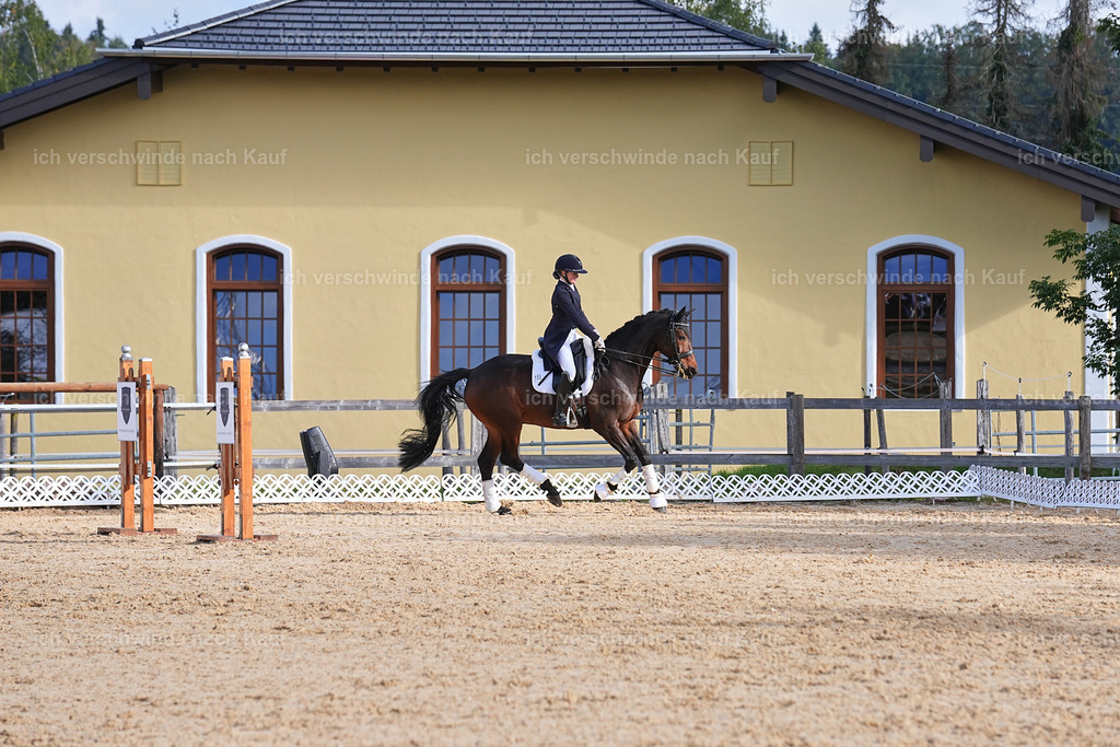 09_1-Siegerehrung-DRESSUR  S_  -Marixx-5679 | working equitationturnier fotograf videograf stoibphotography marixx film working equitation deutschland reitsport turnierfotografie eventfotografie equestrian events