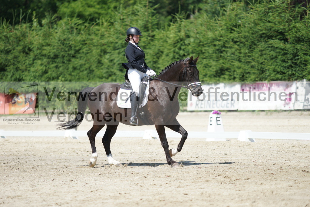 DSC01662 | equestrian-live-com
