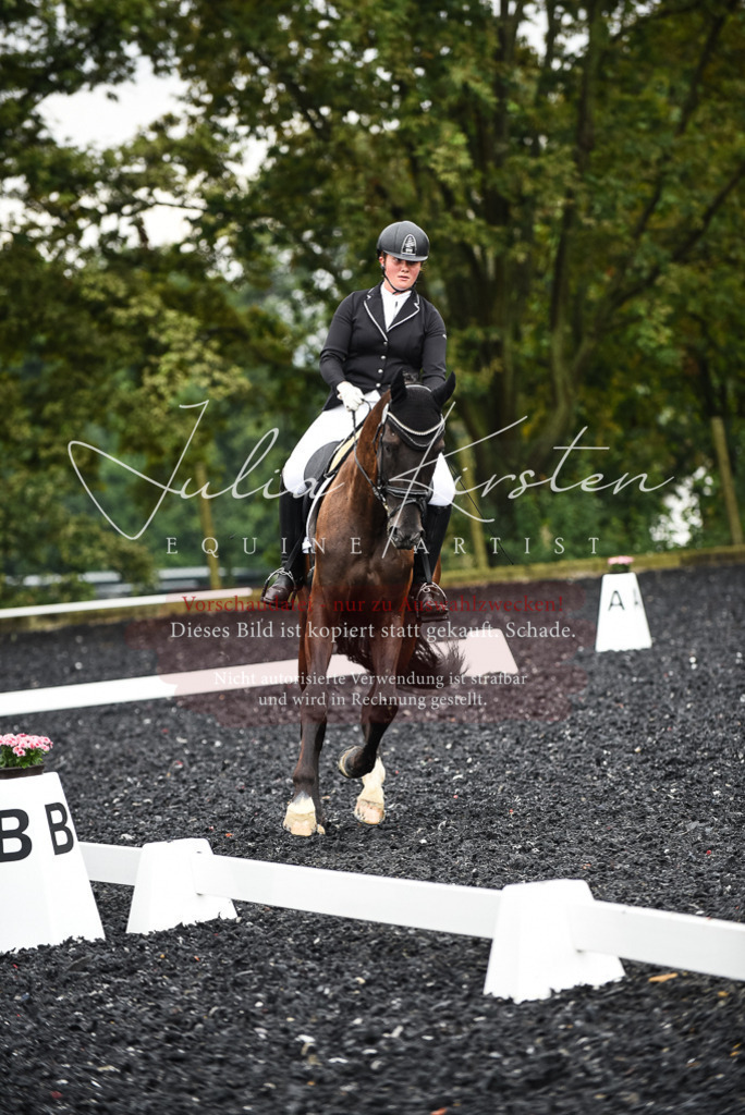 DSC_2823 | Pferde- und Turnierfotografie in Westsachsen. Pferdeportraits, Auftragszeichnungen und intuitive Kunst.