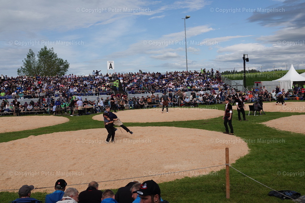 DSC00651 | Schwingen - Realisiert mit Pictrs.com
