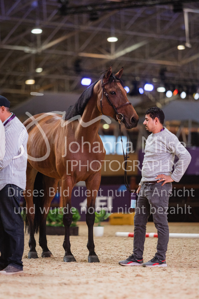 230215_Riyadh_Vet-Check-110 | Deine schönsten Turniermomente als professionelle Fotos! Entdecke hochwertige Pferdesport-Fotografie im Online-Shop. Jetzt Fotos finden & bestellen!