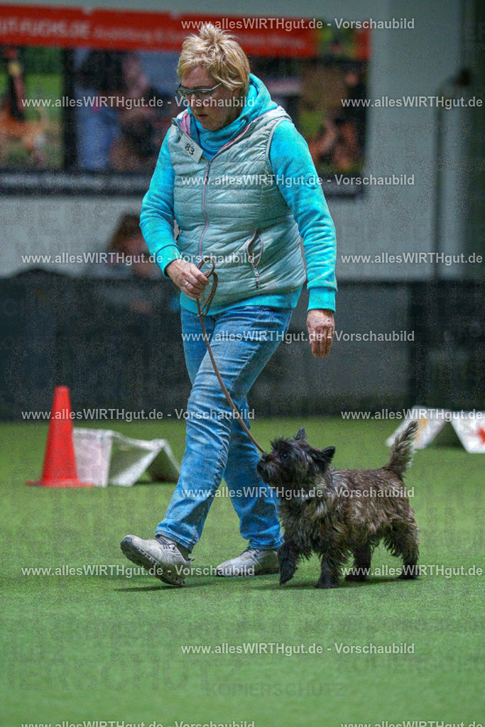 7R503214 | Professionelle Tierfotografie in Mönchengladbach von Daniel Wirth (allesWIRTHgut). Liebevolle & natürliche Bilder von Hunden & Katzen für unvergessliche Erinnerungen.