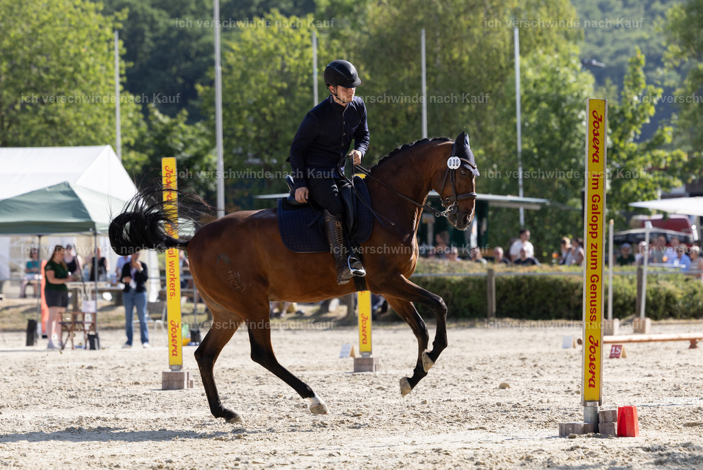 WS_SPEED_38_KerstinBernhardt-7 | working equitationturnier fotograf videograf stoibphotography marixx film working equitation deutschland reitsport turnierfotografie eventfotografie equestrian events