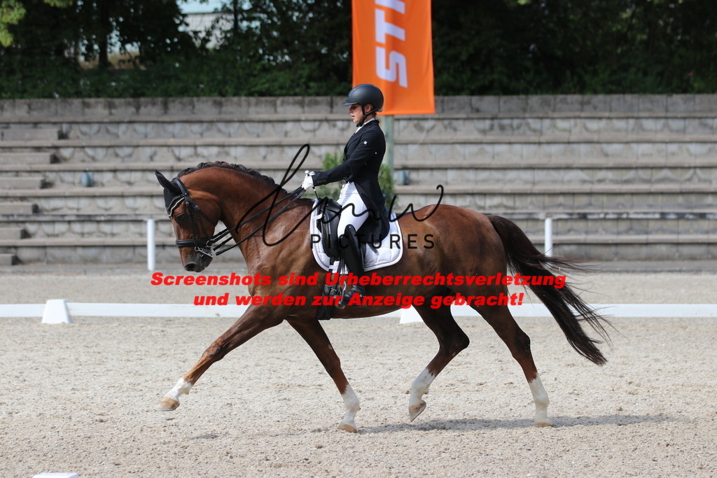 IMG_6846 | lmwpictures - Realisiert mit Pictrs.com