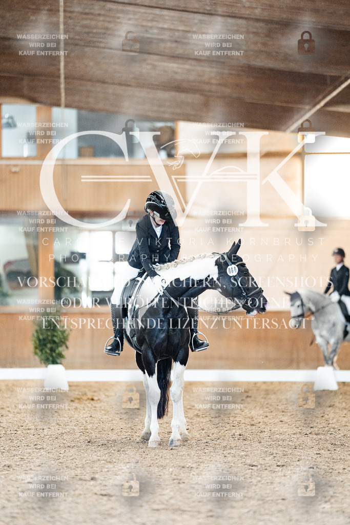 CK907701 | Turnierfotografie Pferdefotografie Trier Rheinland-Pfalz Pferdesport Reitsport Tierfotografie Sportfotografie Pferdevideo Pferdevideografie Equestrianvideography equestrianphotography  - Realisiert mit Pictrs.com