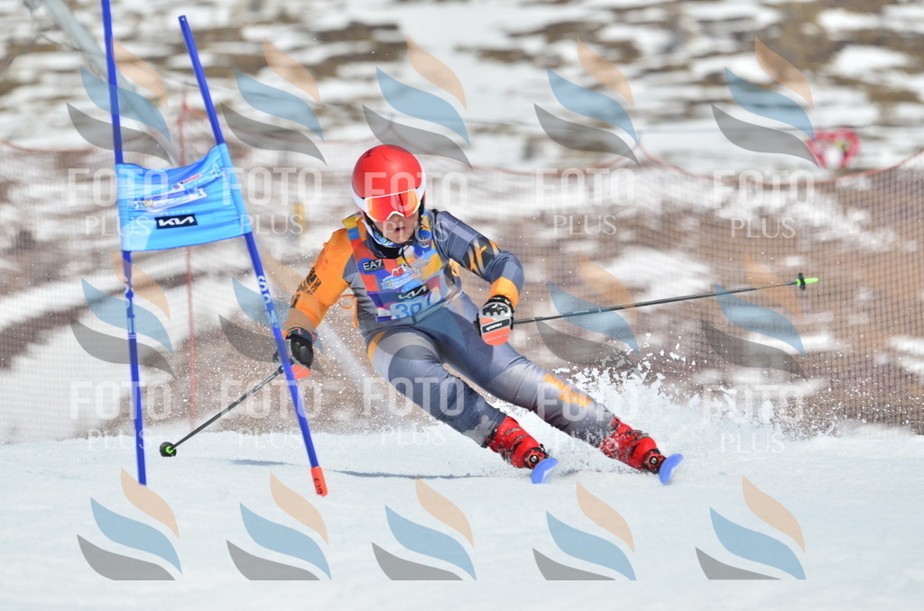 _ELE2274 | holidayphoto