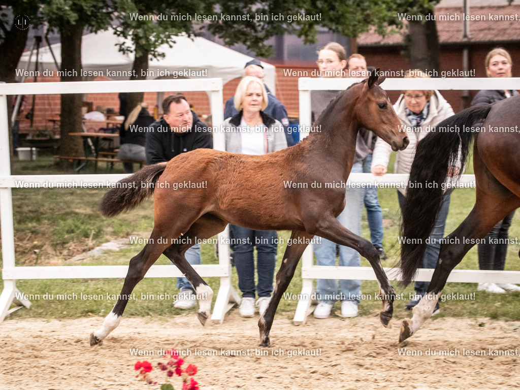 A10I7129 | photographylinaismer - Realisiert mit Pictrs.com