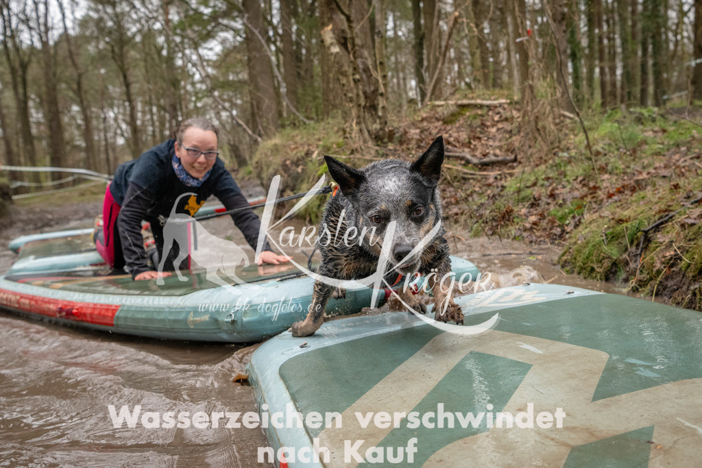 1153_ZZ90255 | kk-dogfotos