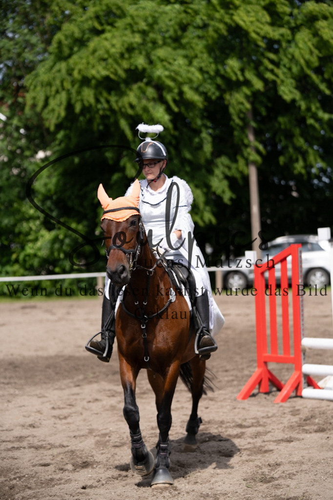 A7V04739 | Pferdefotograf