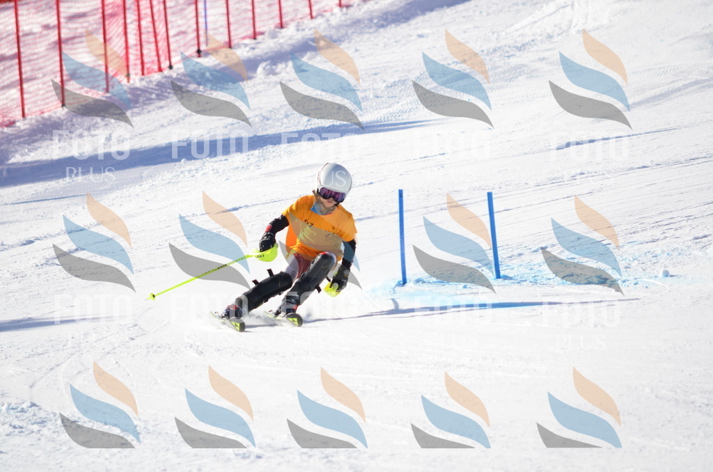 C6138 | holidayphoto