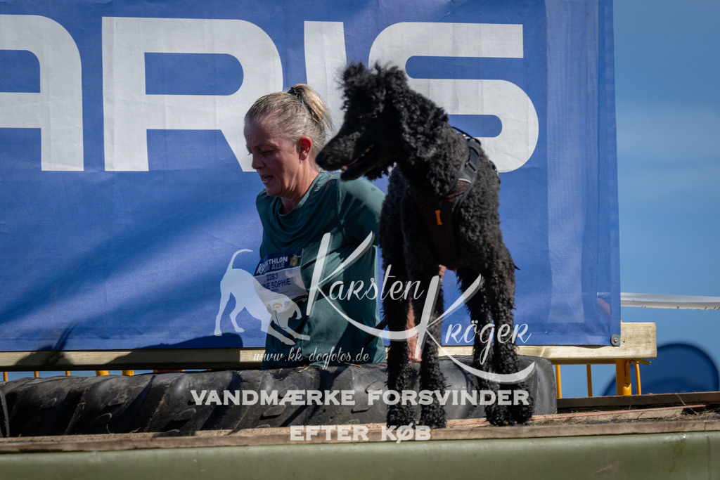 1118_ZZ91202 | kk-dogfotos