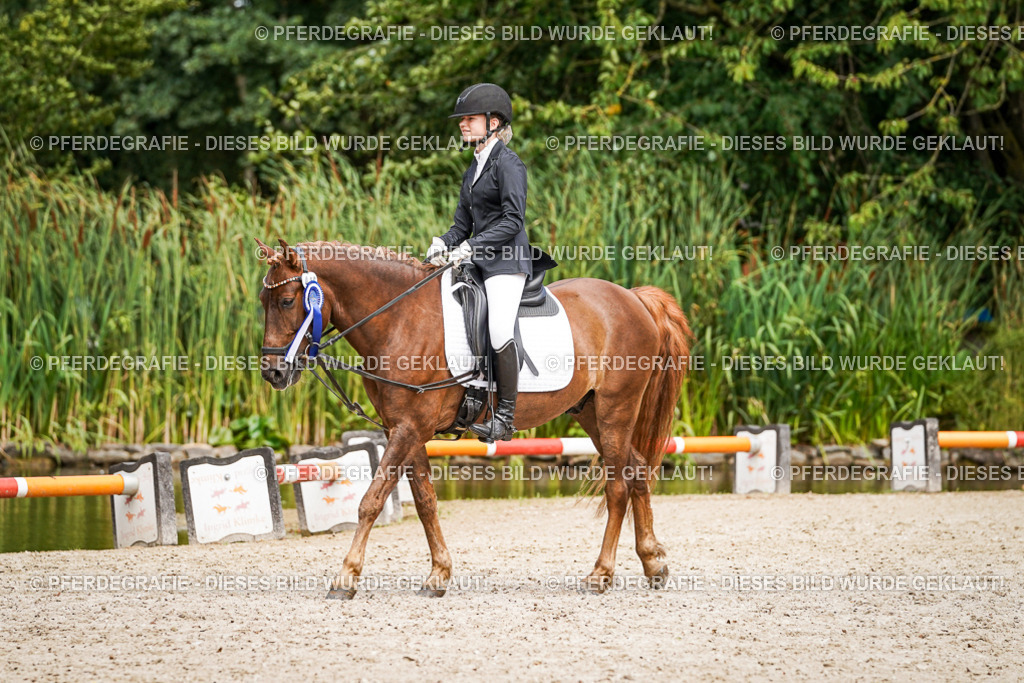 DSC02705 | Pferdegrafie