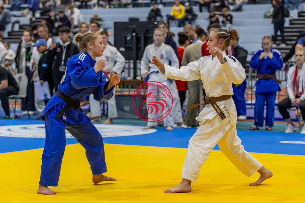 Internationaler Adler Cup 2024 | Foto vom Internationalen Adler Cup Judo Turnier im Sport- und Freizeitzentrum Kalbach im Oktober 2024 - Realisiert mit Pictrs.com