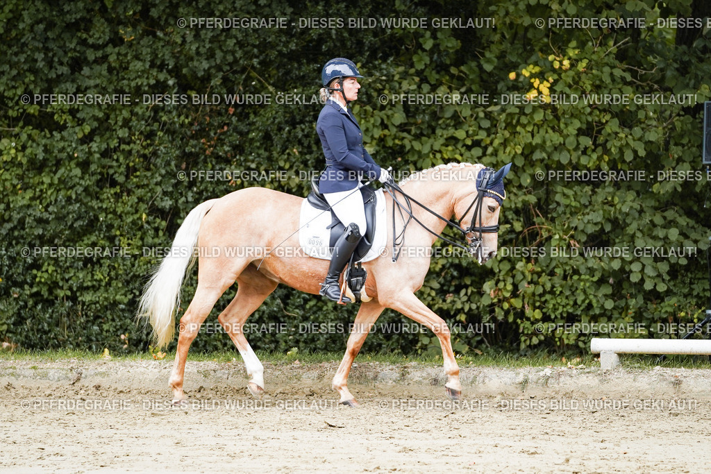 DSC04652 | Pferdegrafie