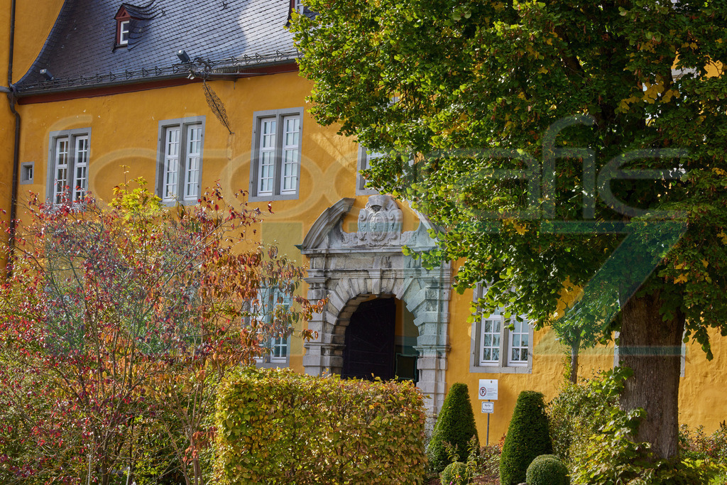 2022-10-12 14-17-34__5_27199 | Nitz Fotografie aus Montabaur bietet Ihnen hier die Möglichkeit Bilder auszusuchen und zu bestellen. 