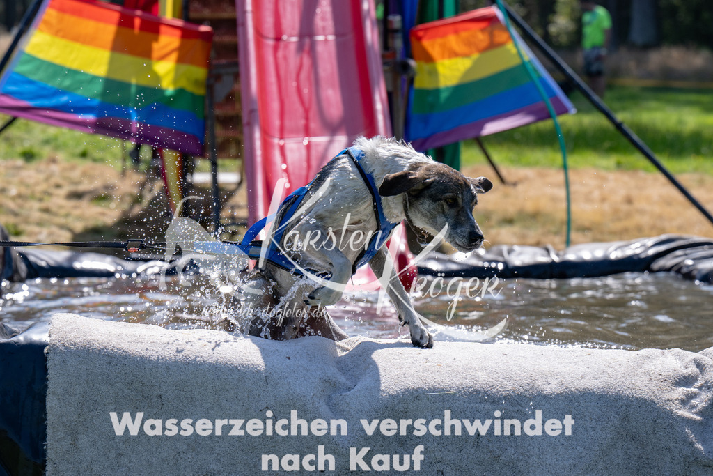 1402_ZZ92913 | kk-dogfotos