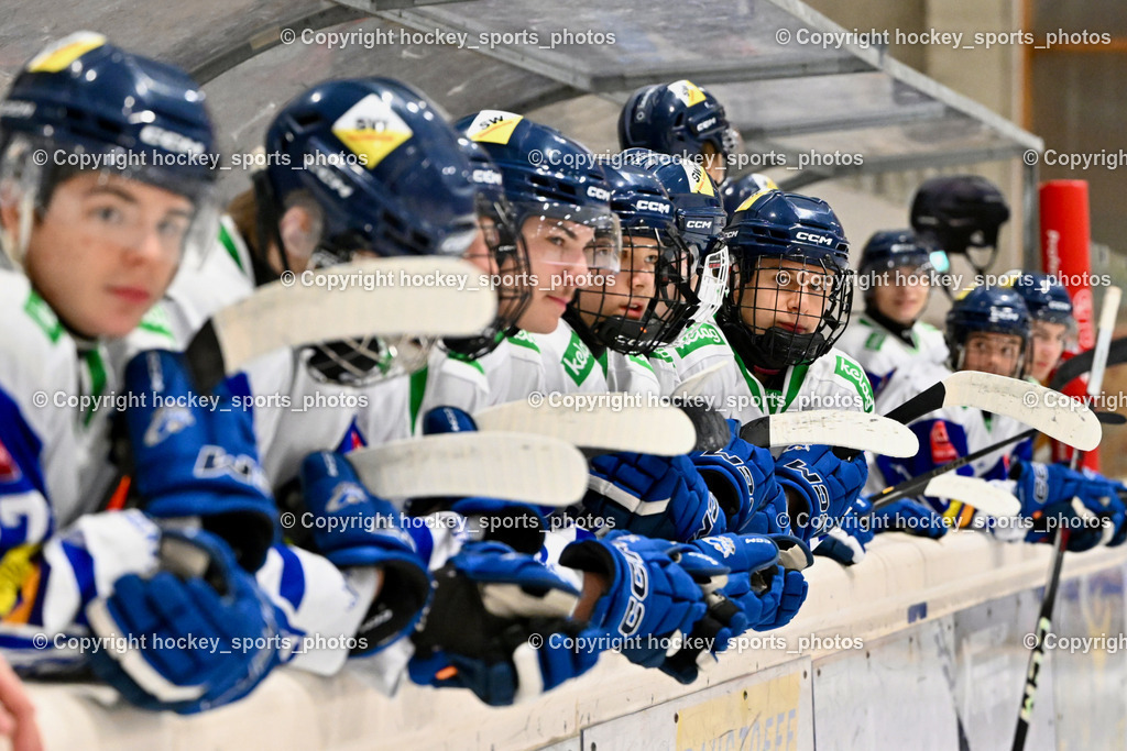 MET PHOTOVOLTAIK HORNETS SPITTAL vs. EC VSV juniors U20  | EC VSV juniors U20 Mannschaft, MET PHOTOVOLTAIK HORNETS SPITTAL vs. EC VSV juniors U20 , MET PHOTOVOLTAIK HORNETS SPITTAL vs. EC VSV juniors U20  am 05.11.2024 in Spittal an der Drau (Goldeck Stadion), Austria, (Photo by Bernd Stefan)