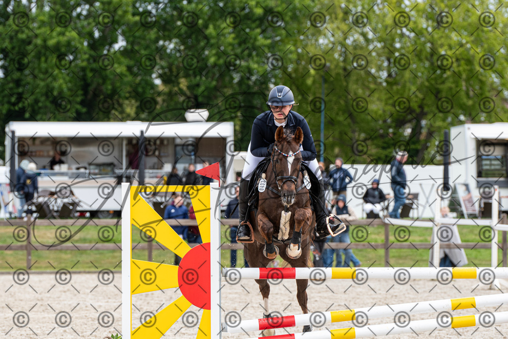 KPT_8202 | andre_photographic