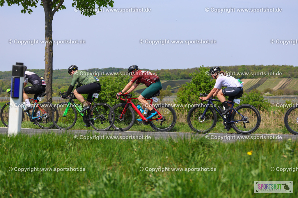 IMG_2532 | @sportshot_your_pictrs #yourpictures#roadtowm2029 #nrm #neusiedlerseeradmarathon #neusiedlersee #neusiedlerseetourismus #burgenland #mörbisch #nrm26 #burgenlandtourismus #voglundco #poweredbyburgenlandtourismus #radsport #rad #marathon #ucigranfondo #visitburgenland #ucigranfondoworldseries