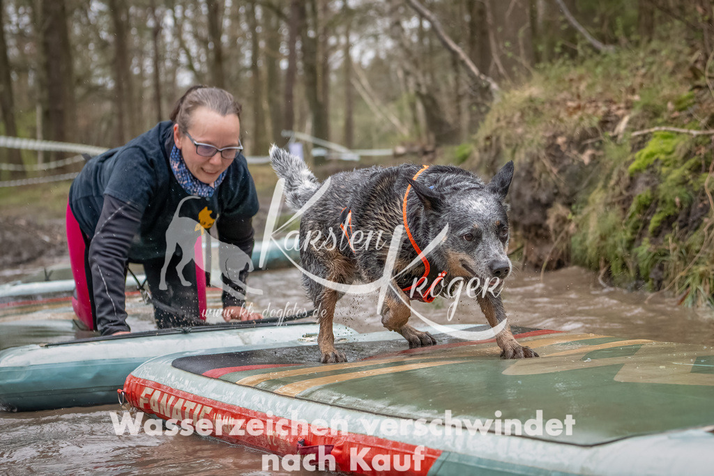 1153_ZZ90238-Bearbeitet | kk-dogfotos