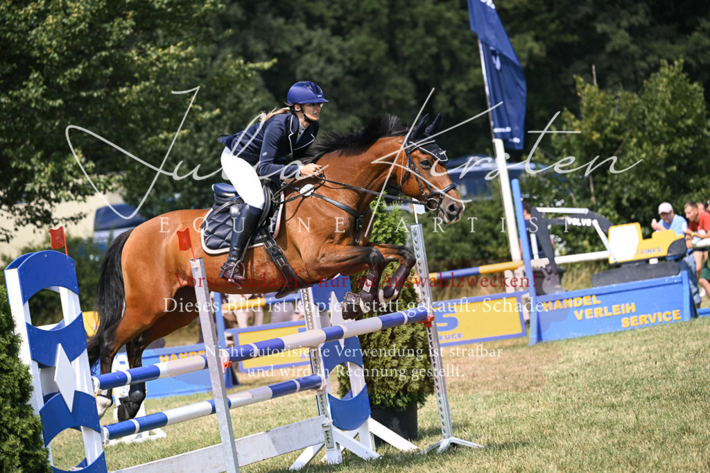 DSC_0321 | Pferde- und Turnierfotografie in Westsachsen. Pferdeportraits, Auftragszeichnungen und intuitive Kunst.