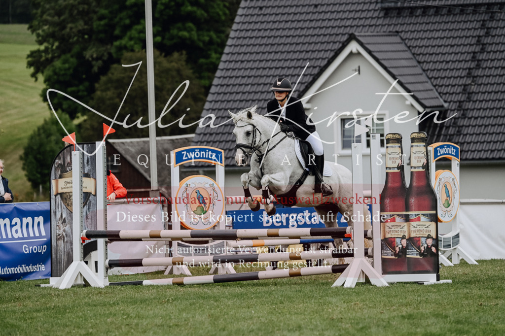 DSC_6781 | Pferde- und Turnierfotografie in Westsachsen. Pferdeportraits, Auftragszeichnungen und intuitive Kunst.