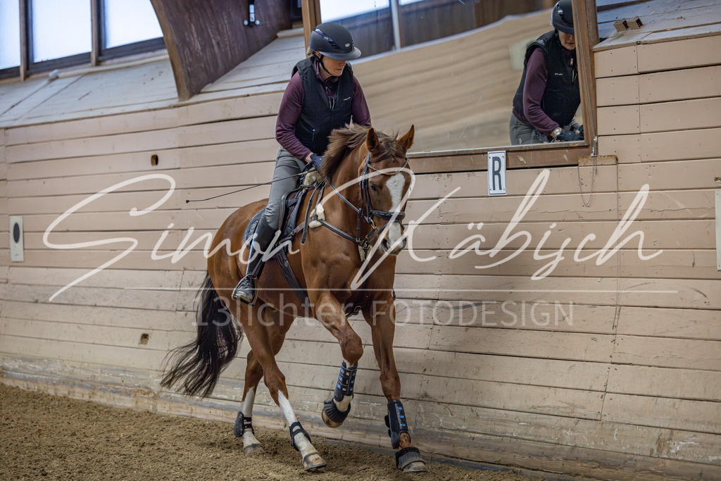 20260221-_3LI8247 | Tierfotografie Pferde, Hunde, Katzen, Haustiere.
Turnierfotografie Reitturniere, Reiten, Springreiten, Dressur in Hanau, dem Main-Kinzig-Kreis und dem Rhein-Main- Gebiet um Frankfurt