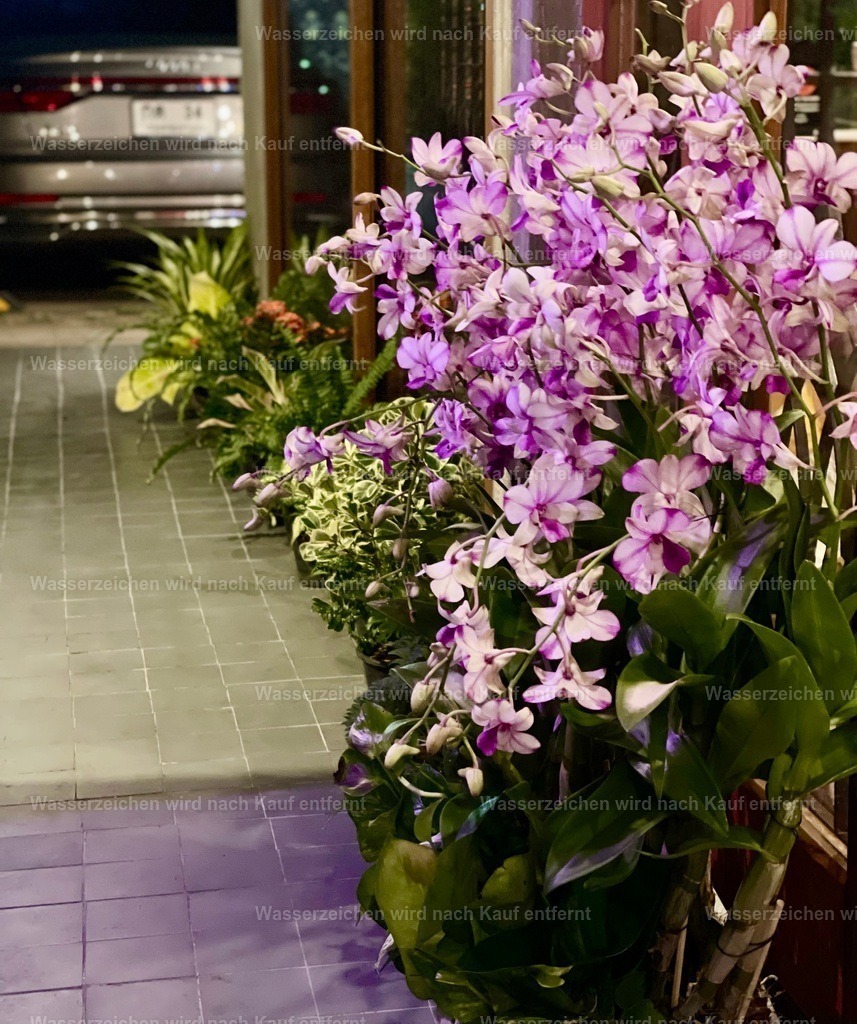 IMG_6154 | heikomoeller - Realisiert mit Pictrs.com