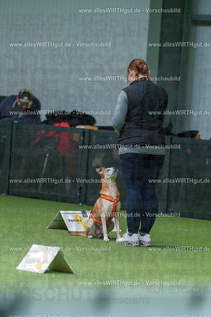 7R506201 | Professionelle Tierfotografie in Mönchengladbach von Daniel Wirth (allesWIRTHgut). Liebevolle & natürliche Bilder von Hunden & Katzen für unvergessliche Erinnerungen.