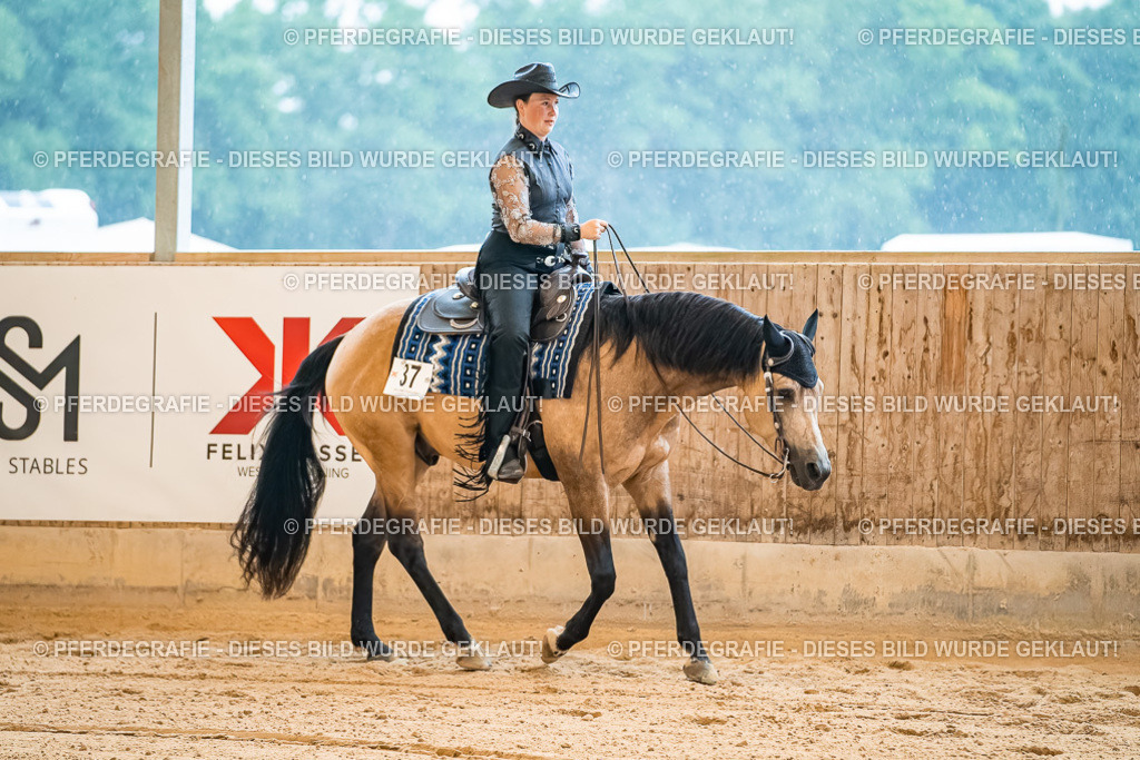 DSC00066 | Pferdegrafie