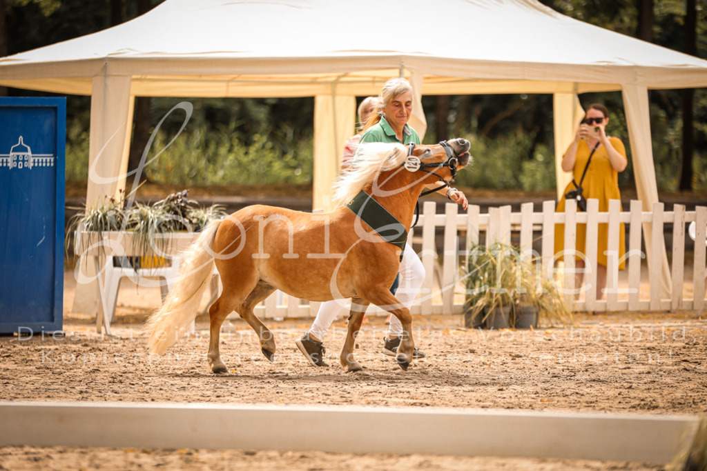 1.-2.Elite00034 | Leoni Ertmer Photography - Realisiert mit Pictrs.com