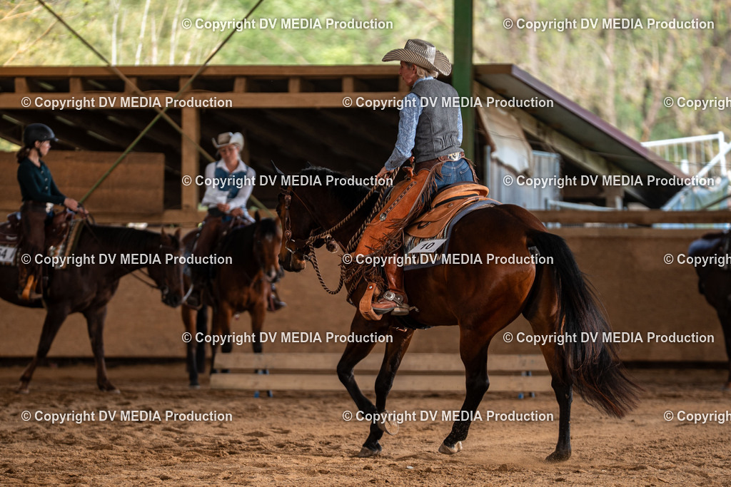 Balingen Tag 3-1305 | dv-media-shop - Realisiert mit Pictrs.com