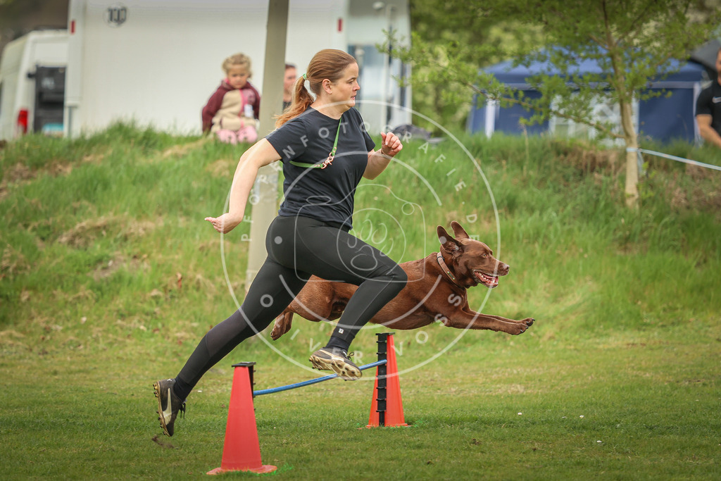 Pfotenfotografie_0L8A1109 | Hundefotografie, Tierfotograf, Pfotenfotografie, Fotoshooting Hund, Hunde Portrait, Hundesport, Hundeportraits, Heideshooting, Hunde, Sportfotograf, Hundefotograf, Turnierhundsport, THS,  - Realisiert mit Pictrs.com