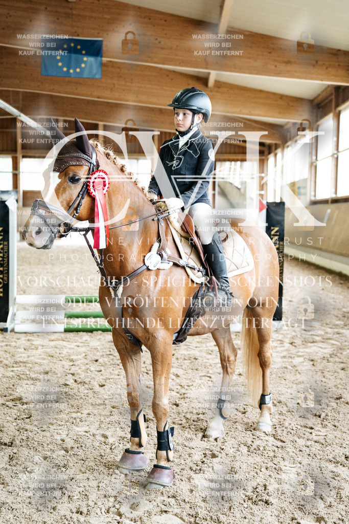 CK703444 | Turnierfotografie Pferdefotografie Trier Rheinland-Pfalz Pferdesport Reitsport Tierfotografie Sportfotografie Pferdevideo Pferdevideografie Equestrianvideography equestrianphotography  - Realisiert mit Pictrs.com