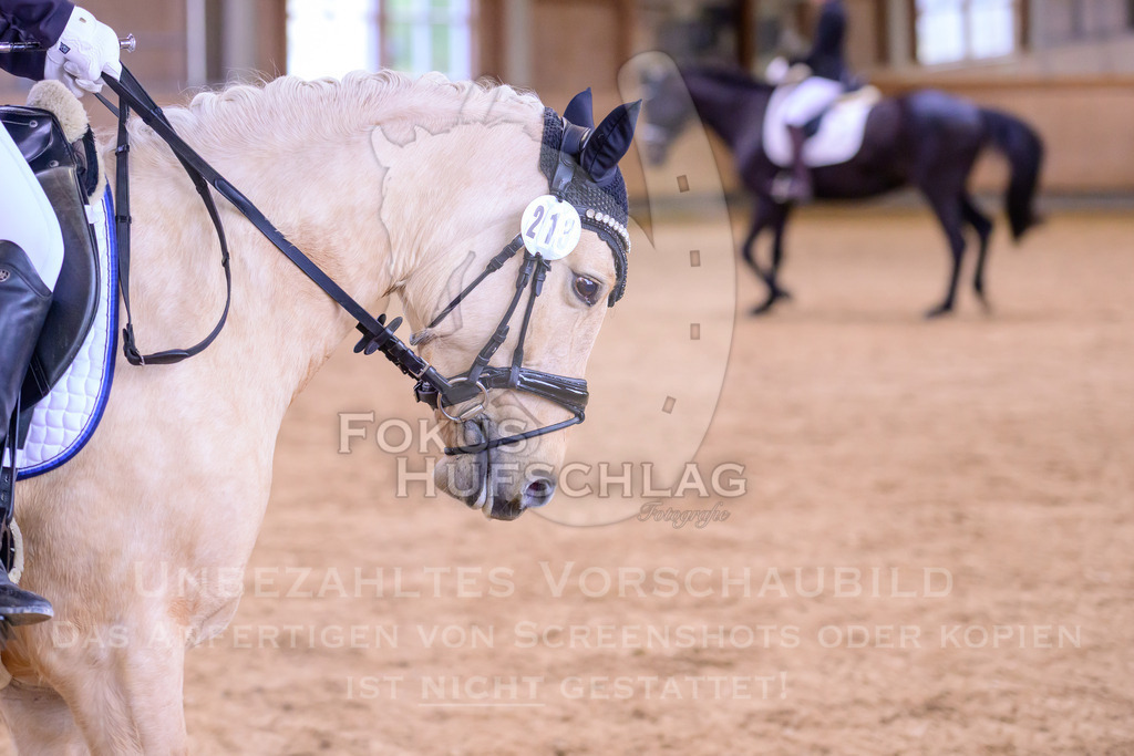 11042026-Mammendorf-Prfg25-0353 | Fokus Hufschlag Fotografie - Realisiert mit Pictrs.com