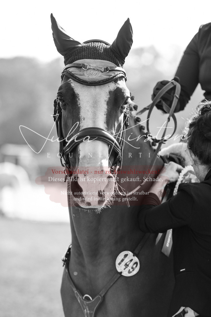 DSC_5478 | Pferde- und Turnierfotografie in Westsachsen. Pferdeportraits, Auftragszeichnungen und intuitive Kunst.