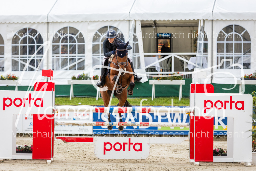 BHO-2PhSpr-M-173 | MomenTaufnahmen Pferdesportfotos