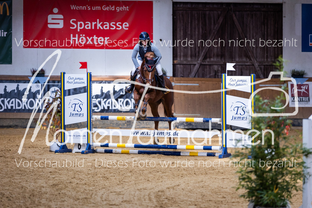 Sth-A-Springen-015 | MomenTaufnahmen Pferdesportfotos