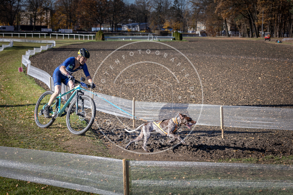 CaniXpix_DV3A6943 | Hundefotografie, Tierfotograf, Pfotenfotografie, Fotoshooting Hund, Hunde Portrait, Hundesport, Hundeportraits, Heideshooting, Hunde, Sportfotograf, Hundefotograf, Turnierhundsport, THS,  - Realisiert mit Pictrs.com